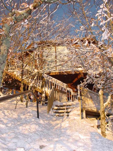 walkway_with_snow