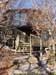 walkway_to_house