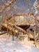 walkway_with_snow