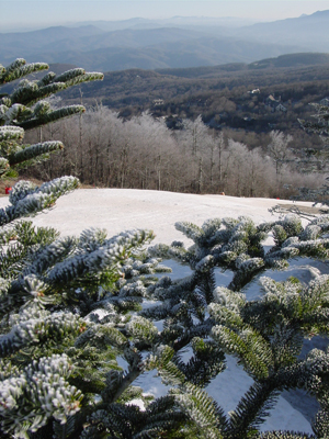 spring snow photo